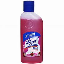 LIZOL FLORAL 200ml mrp48