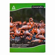 CLASSMATE 172pg