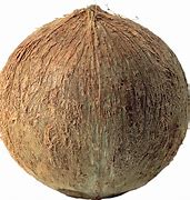 COCONUT