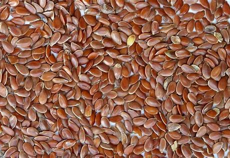 FLAX SEED