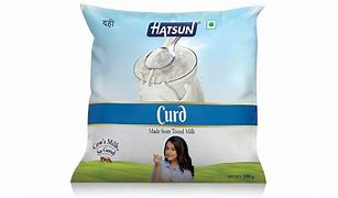 HATSUN CURD 500g