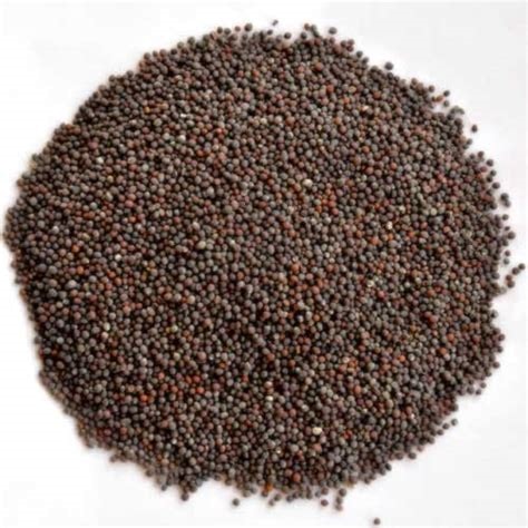 KADUKU 100g