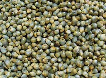 கம்பு 250g