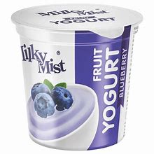 MILKY MIST FRUIT YOGURT BLUEBERRY 100 gm