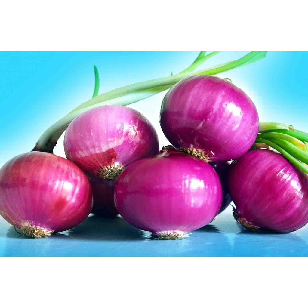 வெங்காயம்