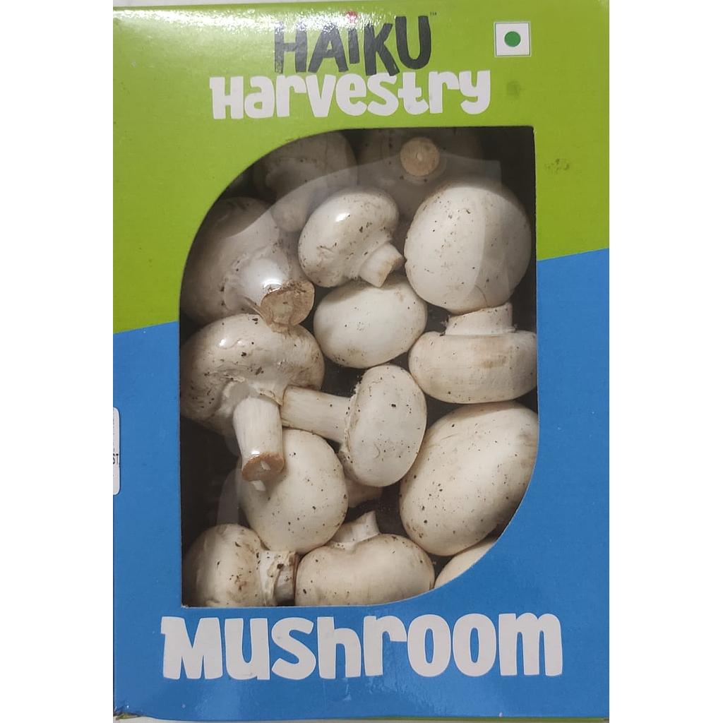 HAIKU  MUSHROOM