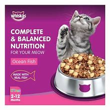 WHISKAS OCEAN FISH FLAVOUR 50g