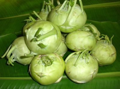 நூக்கல்