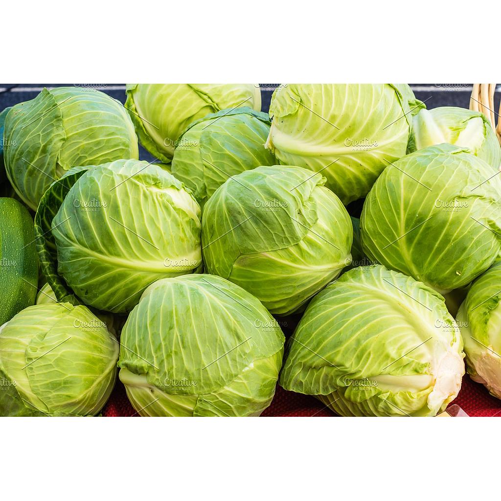 முட்டைக்கோஸ்
